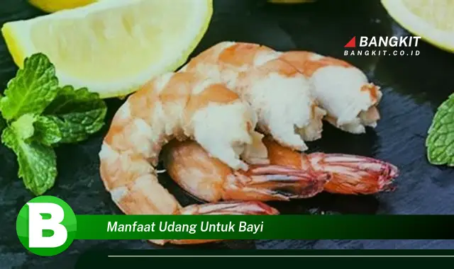 Ketahui Manfaat Udang untuk Bayi yang Bikin Kamu Penasaran