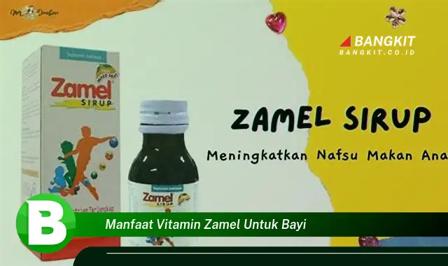 Temukan Manfaat Vitamin Zamel untuk Bayi yang Bikin Kamu Penasaran