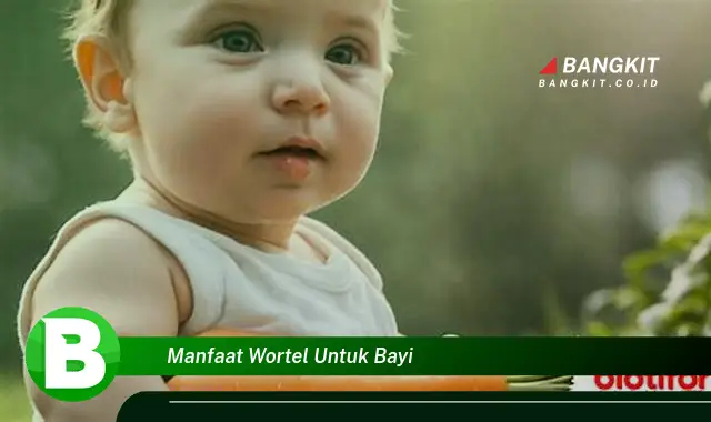 Intip Manfaat Wortel untuk Bayi yang Bikin Kamu Penasaran