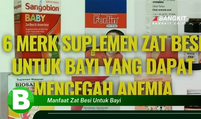 Ketahui Manfaat Zat Besi untuk Bayi yang Wajib Kamu Tau