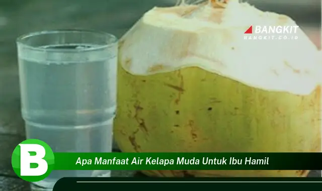 Ketahui Manfaat Air Kelapa Muda untuk Ibu Hamil yang Bikin Kamu Penasaran