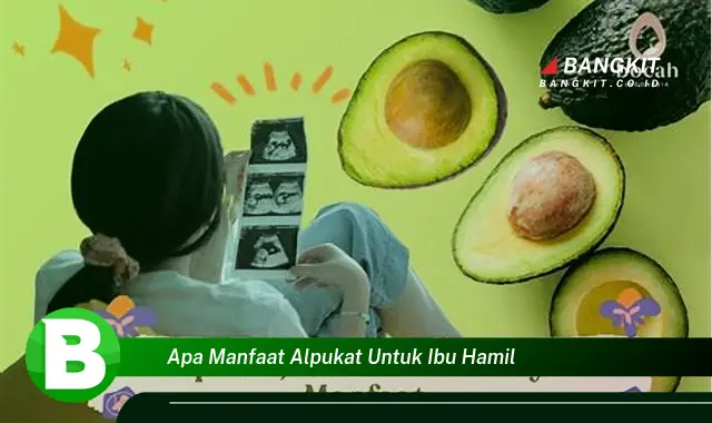 Ketahui Manfaat Alpukat untuk Ibu Hamil yang Bikin Kamu Penasaran