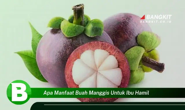 Temukan Manfaat Buah Manggis untuk Ibu Hamil yang Wajib Kamu Tahu