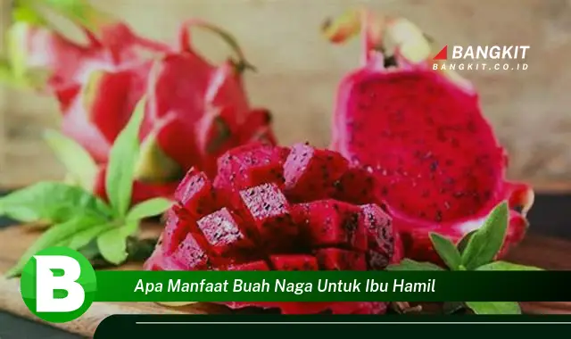 Temukan Manfaat Buah Naga untuk Ibu Hamil yang Wajib Kamu Ketahui