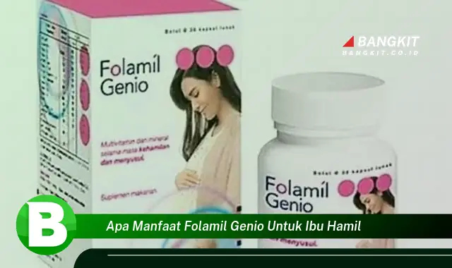 Ketahui Manfaat Folamil Genio untuk Ibu Hamil yang Wajib Kamu Tahu