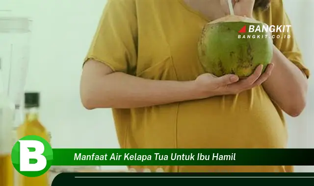 Intip Manfaat Air Kelapa Tua untuk Ibu Hamil yang Bikin Kamu Penasaran