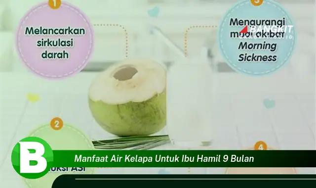 Temukan Manfaat Air Kelapa untuk Ibu Hamil 9 Bulan yang Bikin Kamu Penasaran