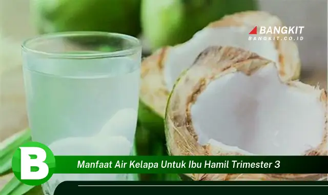 Intip Manfaat Air Kelapa yang Wajib Kamu Tahu untuk Ibu Hamil Trimester 3