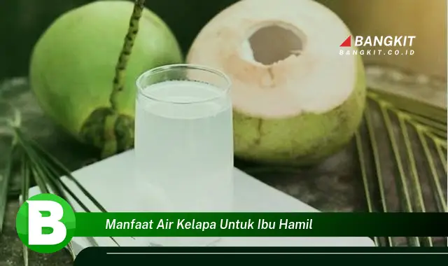 Ketahui Manfaat Air Kelapa untuk Ibu Hamil yang Bikin Kamu Penasaran