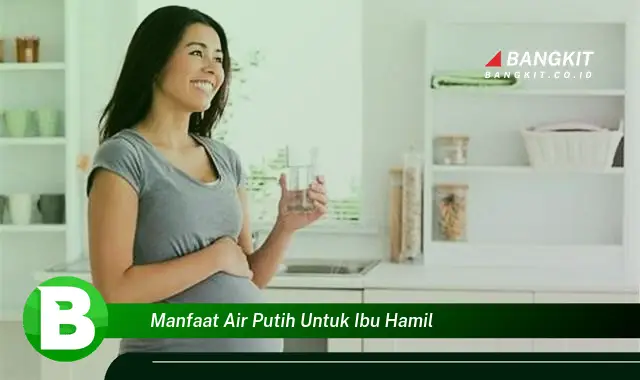 Ketahui Manfaat Air Putih Untuk Ibu Hamil yang Wajib Kamu Tau