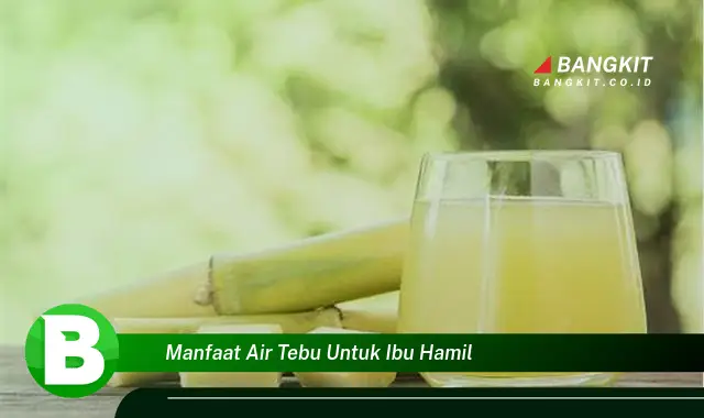 Temukan Manfaat Air Tebu yang Wajib Kamu Tau untuk Ibu Hamil