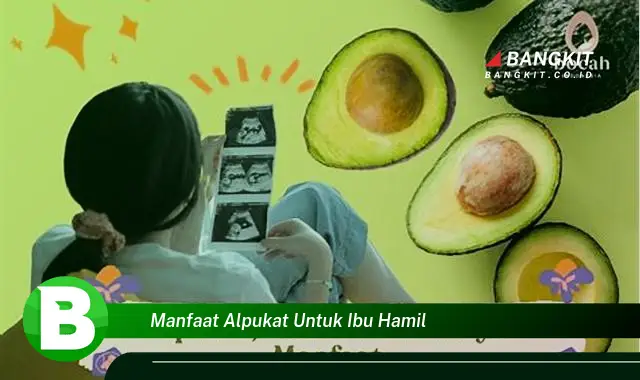 Temukan Manfaat Alpukat untuk Ibu Hamil yang Bikin Kamu Penasaran