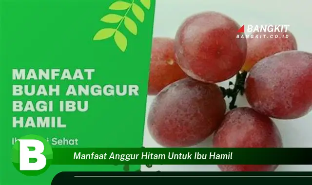 Temukan Manfaat Anggur Hitam yang Wajib Kamu Tau untuk Ibu Hamil