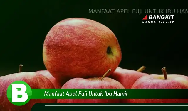 Ketahui Manfaat Apel Fuji yang Wajib Kamu Tau untuk Ibu Hamil