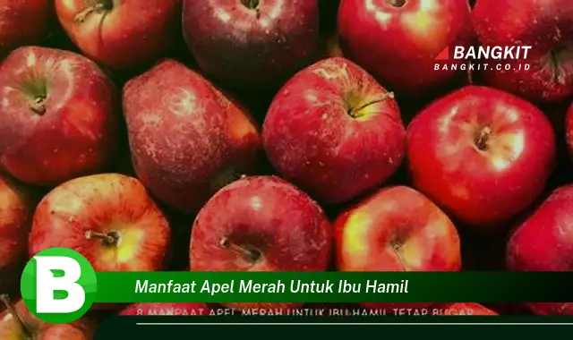 Temukan Manfaat Apel Merah untuk Ibu Hamil yang Bikin Kamu Penasaran