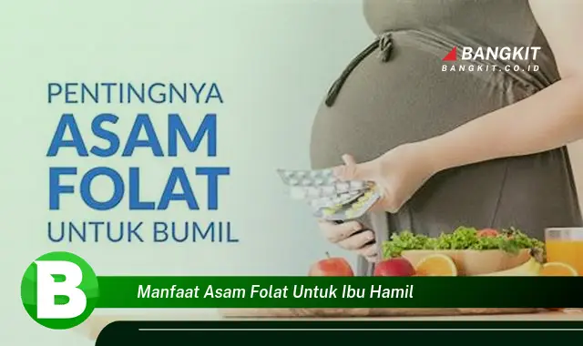 Intip Manfaat Asam Folat untuk Ibu Hamil yang Wajib Kamu Tau