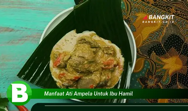 Intip Manfaat Ati Ampela yang Wajib Kamu Tahu untuk Ibu Hamil