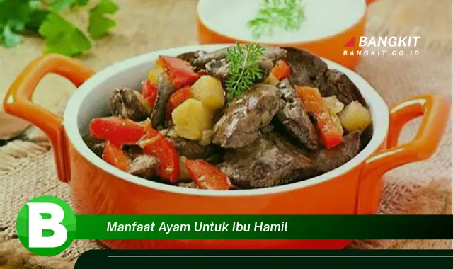 Temukan Manfaat Ayam untuk Ibu Hamil yang Bikin Kamu Penasaran