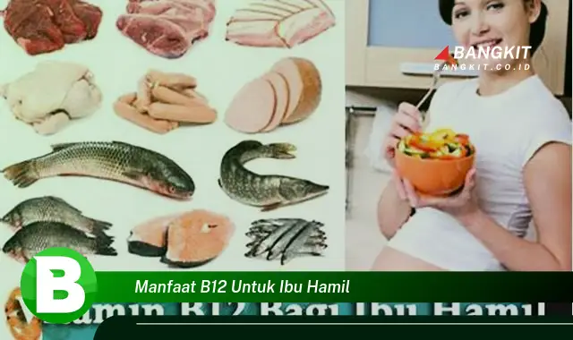 Intip Manfaat Vitamin B12 untuk Ibu Hamil yang Bikin Kamu Penasaran