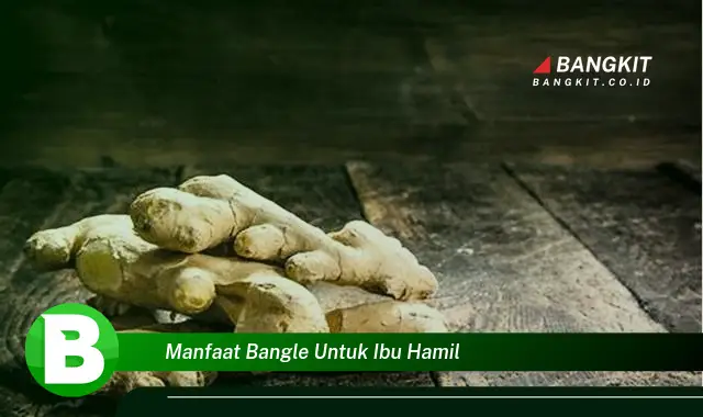 Temukan Manfaat Bangle untuk Ibu Hamil yang Bikin Kamu Penasaran