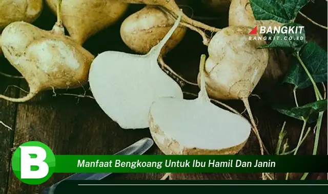 Temukan Manfaat Bengkoang untuk Ibu Hamil dan Janin yang Bikin Kamu Penasaran