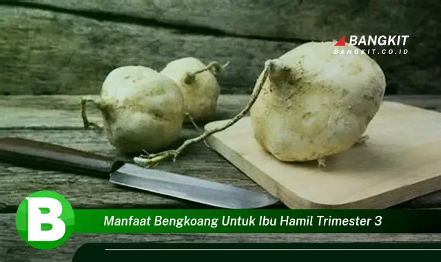 Ketahui Manfaat Bengkoang untuk Ibu Hamil Trimester 3 yang Bikin Kamu Penasaran