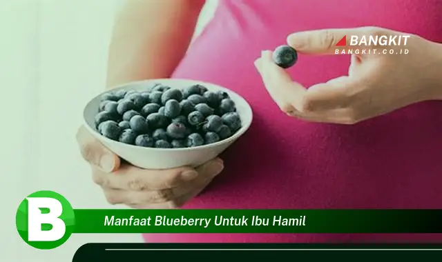 Temukan Manfaat Blueberry untuk Ibu Hamil yang Bikin Kamu Penasaran!