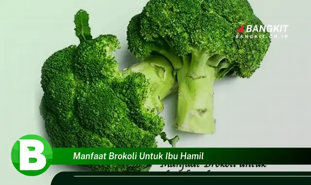 Ketahui Manfaat Luar Biasa Brokoli untuk Ibu Hamil yang Bikin Kamu Penasaran