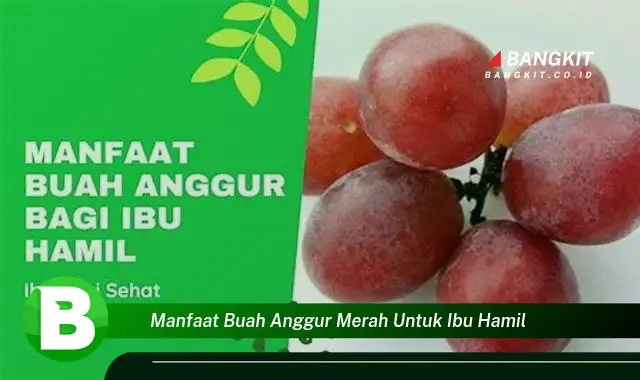 Intip Manfaat Buah Anggur Merah yang Wajib Kamu Tahu!