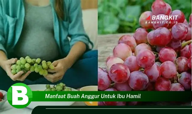 Temukan Manfaat Buah Anggur untuk Ibu Hamil yang Bikin Kamu Penasaran