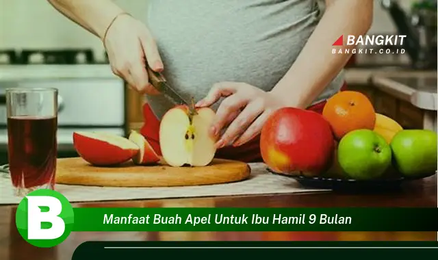 Temukan Manfaat Buah Apel untuk Ibu Hamil 9 Bulan yang Bikin Kamu Penasaran