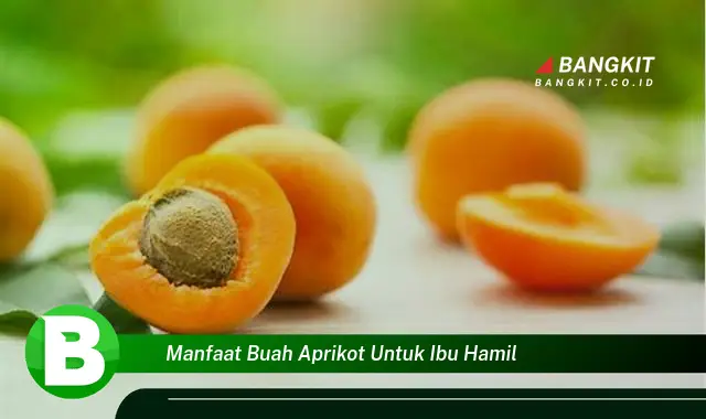 Intip Manfaat Buah Aprikot untuk Ibu Hamil yang Bikin Kamu Penasaran