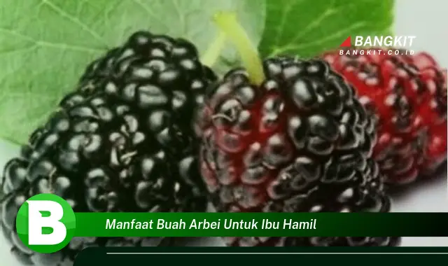 Intip Manfaat Buah Arbei untuk Ibu Hamil yang WajibKamuIntip