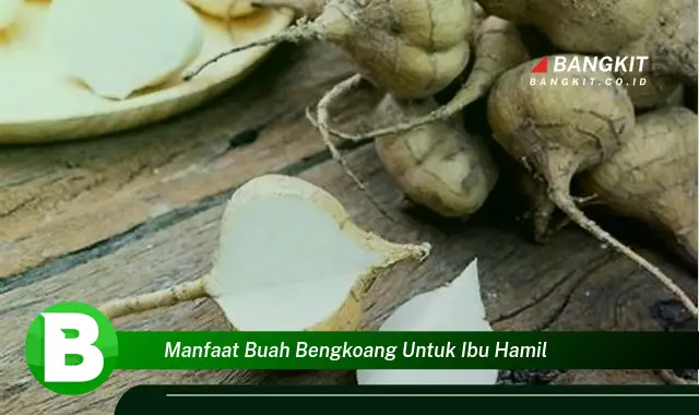 Temukan Manfaat Buah Bengkoang untuk Ibu Hamil yang Wajib Kamu Intip