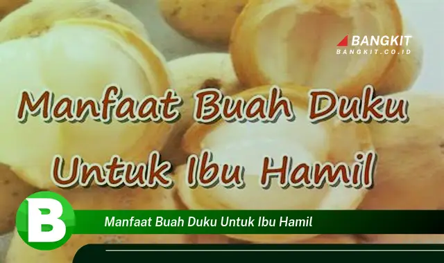 Ketahui Manfaat Buah Duku untuk Ibu Hamil yang Wajib Kamu Tau