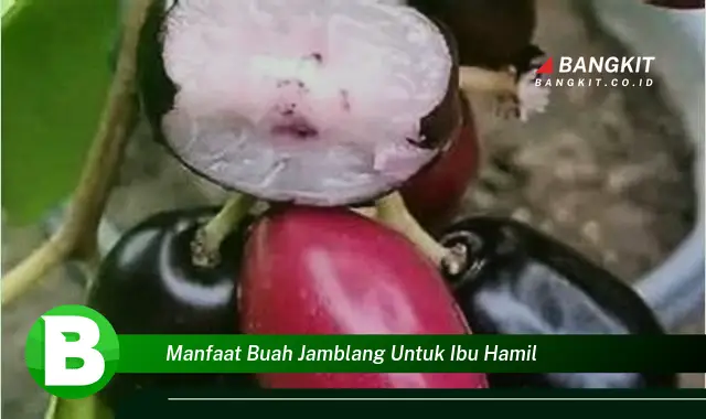 Temukan Manfaat Buah Jamblang untuk Ibu Hamil yang Bikin Kamu Penasaran