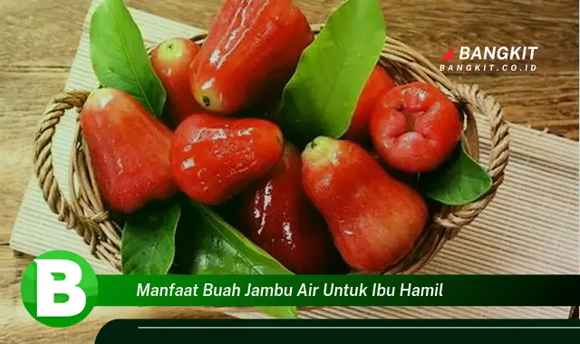 Temukan Manfaat Buah Jambu Air untuk Ibu Hamil yang Wajib Kamu Intip