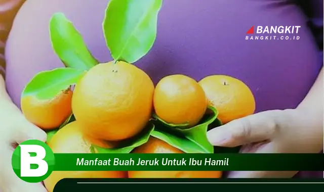 Temukan Manfaat Buah Jeruk untuk Ibu Hamil yang Bikin Kamu Penasaran