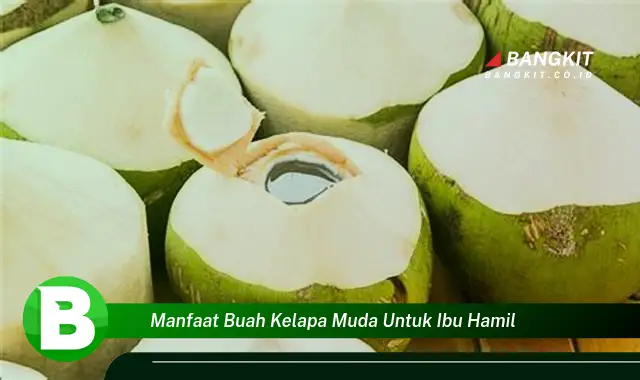 Temukan Manfaat Buah Kelapa Muda untuk Ibu Hamil yang Bikin Kamu Penasaran