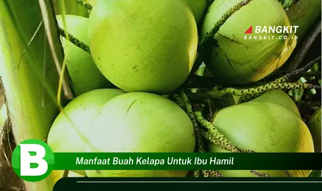 Temukan Manfaat Buah Kelapa untuk Ibu Hamil yang Bikin Kamu Penasaran