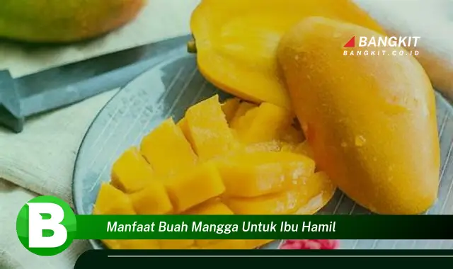 Intip Manfaat Buah Mangga untuk Ibu Hamil yang Wajib Kamu Tau