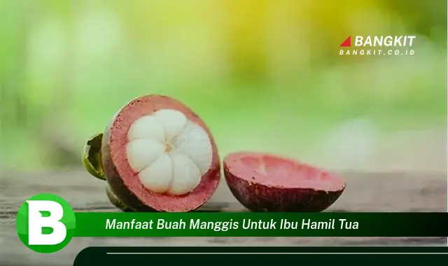 Intip Manfaat Buah Manggis untuk Ibu Hamil Tua yang Bikin Kamu Penasaran