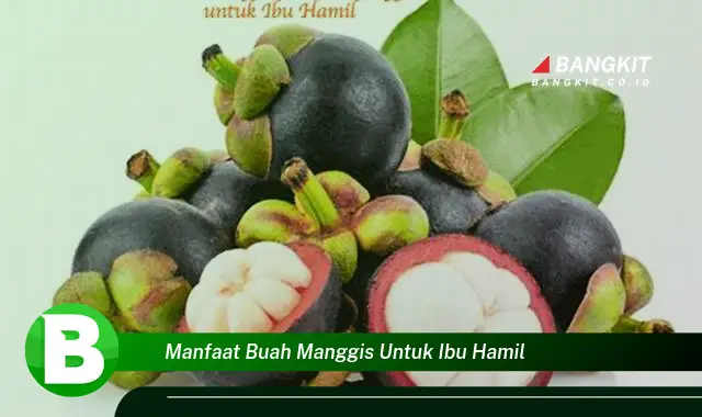 Temukan Manfaat Buah Manggis untuk Ibu Hamil yang Wajib Kamu Intip