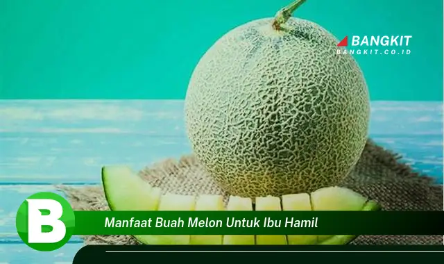 Temukan Manfaat Buah Melon yang Bikin Ibu Hamil Penasaran