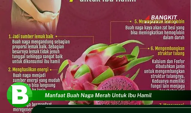 Temukan Manfaat Buah Naga Merah untuk Ibu Hamil yang Bikin Kamu Penasaran!