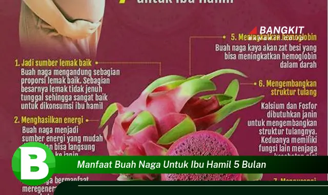 Intip Manfaat Buah Naga untuk Ibu Hamil 5 Bulan yang Bikin Kamu Penasaran