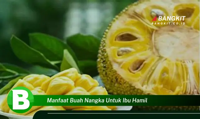 Intip Keuntungan Buah Nangka untuk Ibu Hamil yang Bikin Penasaran