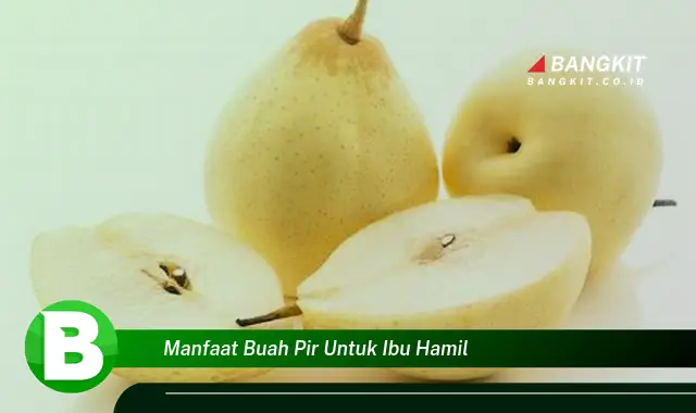 Intip Manfaat Buah Pir yang Bikin Ibu Hamil Penasaran