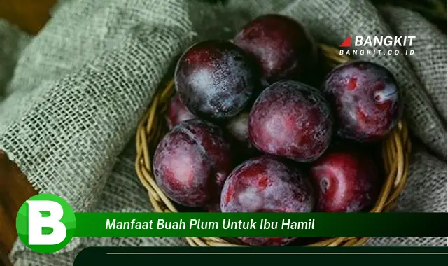 Intip Rahasia Buah Plum untuk Ibu Hamil yang Wajib Kamu Tau