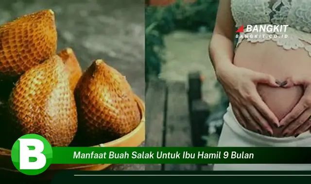 Temukan Manfaat Buah Salak yang Wajib Kamu Intip Untuk Ibu Hamil 9 Bulan